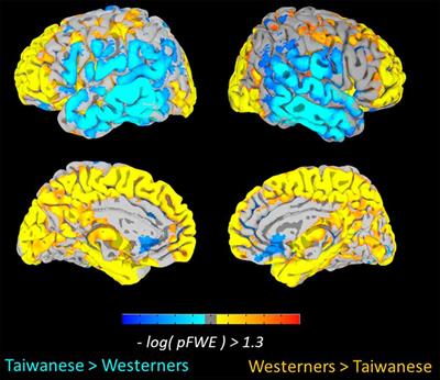 Culture-Related and Individual Differences in Regional Brain Volumes: A Cross-Cultural Voxel-Based Morphometry Study